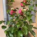 Bed & Breakfast Masoe Des Chatards Neuilly-le-Réal