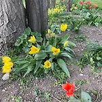 Bed & Breakfast Masoe Des Chatards Neuilly-le-Réal