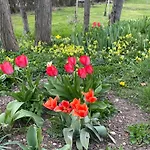 Masoe Des Chatards 3* Neuilly-le-Réal