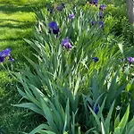 Masoe Des Chatards 3* Neuilly-le-Réal