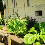 Bed & Breakfast Masoe Des Chatards Neuilly-le-Réal