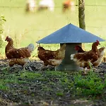 Bed & Breakfast Masoe Des Chatards Neuilly-le-Real