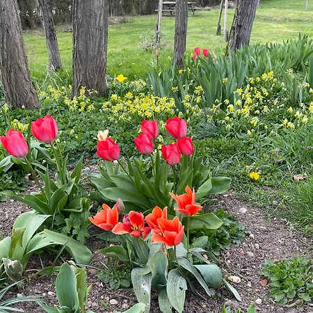 Masoe Des Chatards 3* Neuilly-le-Réal