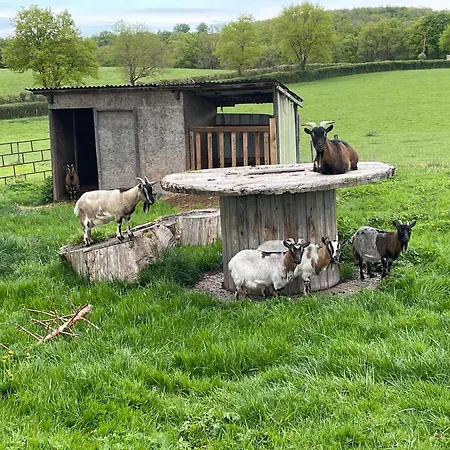 Masoe Des Chatards 3* Neuilly-le-Réal