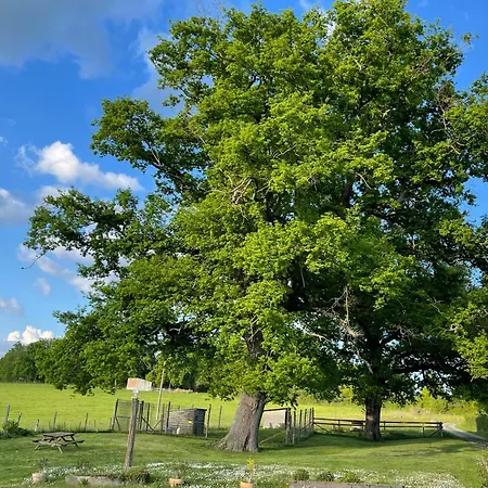 住宿加早餐酒店 Masoe Des Chatards 3*