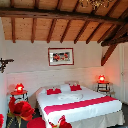 Masoe Des Chatards Neuilly-le-Réal