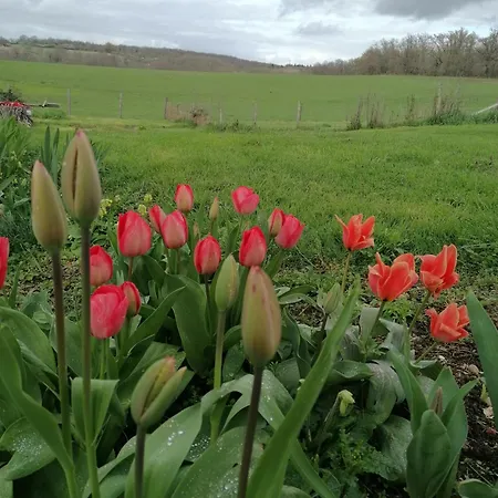 Masoe Des Chatards Bed & Breakfast 3*