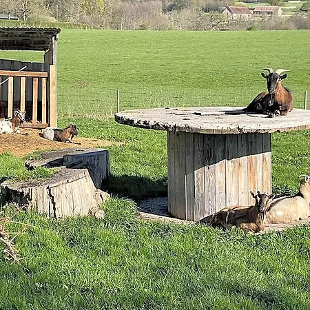 Masoe Des Chatards