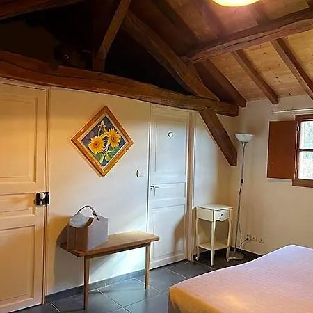 Masoe Des Chatards Neuilly-le-Réal