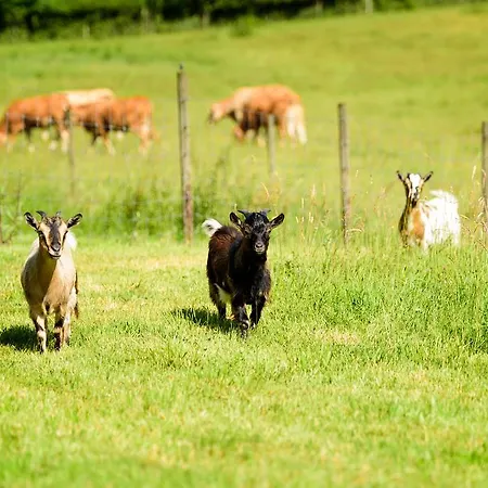 Masoe Des Chatards 3* Neuilly-le-Réal
