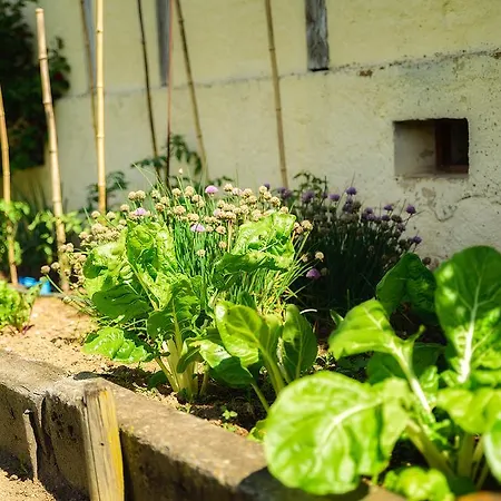 Bed & Breakfast Masoe Des Chatards Neuilly-le-Réal