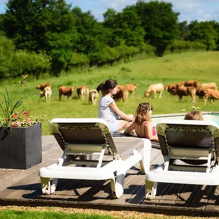 Masoe Des Chatards Neuilly-le-Réal