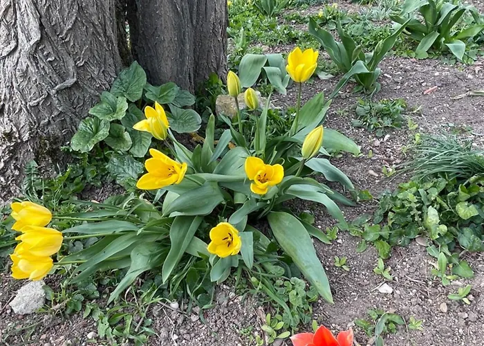住宿加早餐酒店 Masoe Des Chatards Neuilly-le-Réal