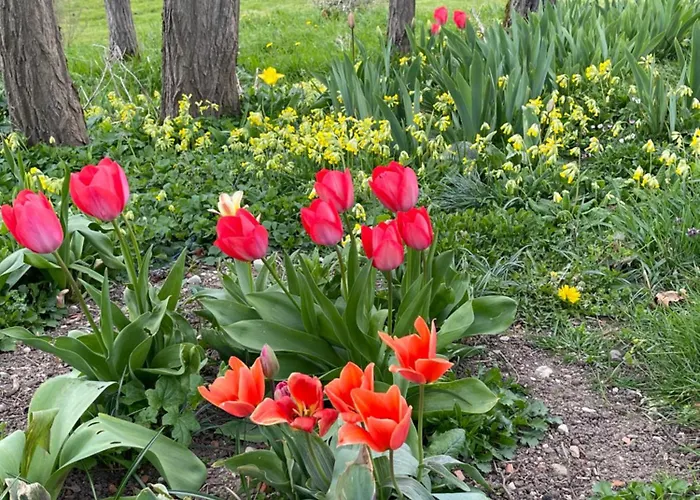 Masoe Des Chatards 3* Neuilly-le-Réal