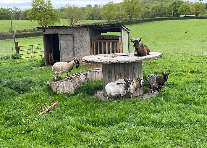 Masoe Des Chatards 3* Neuilly-le-Real