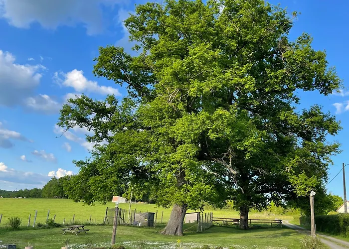 住宿加早餐酒店 Masoe Des Chatards 3*