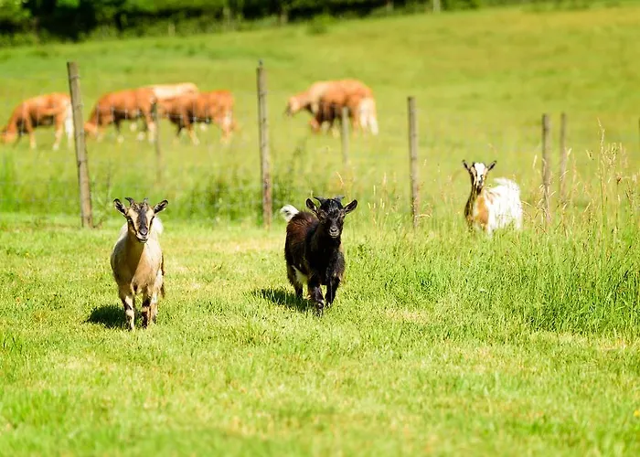 Masoe Des Chatards 3* Neuilly-le-Real