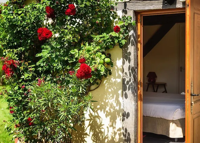 Masoe Des Chatards 3*