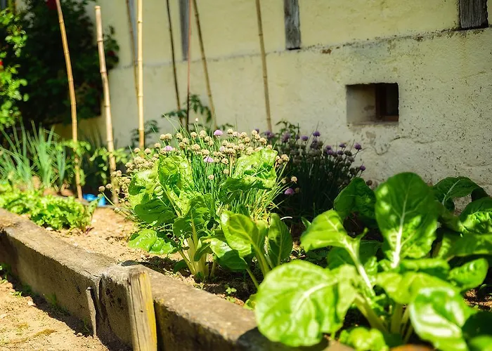 Bed & Breakfast Masoe Des Chatards Neuilly-le-Real