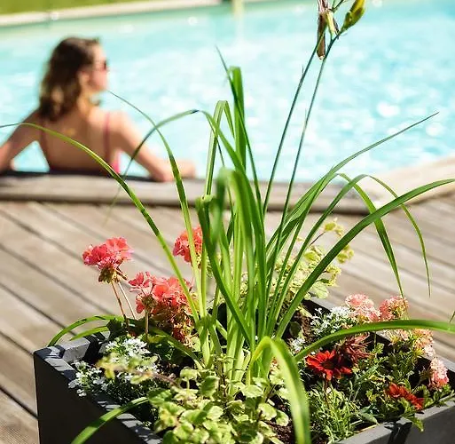 Masoe Des Chatards 3*